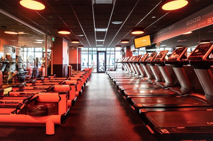 Orangetheory truth kotinsky