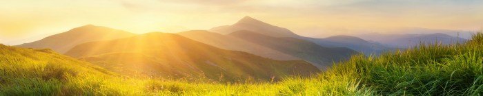 Peak behavioral health guess do not assessment