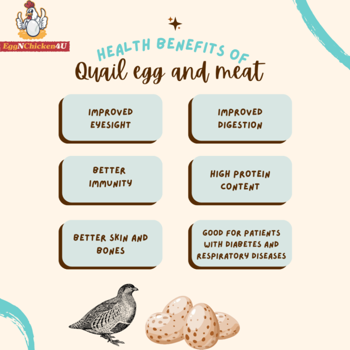 Quails eggs health benefits