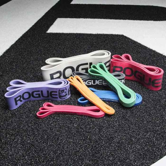 Rogue fitness gear