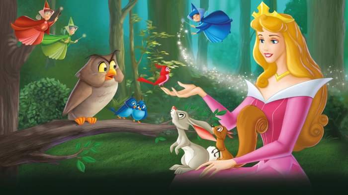 Aurora sleeping beauty