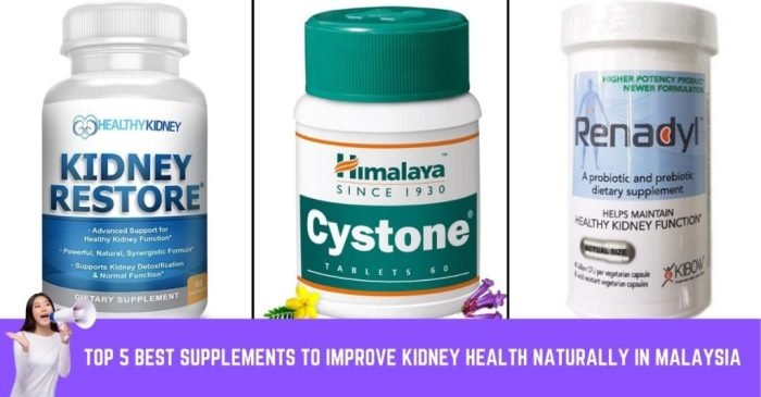 Kidney cleanse stones supplements detox smk pertiwi timur jakarta