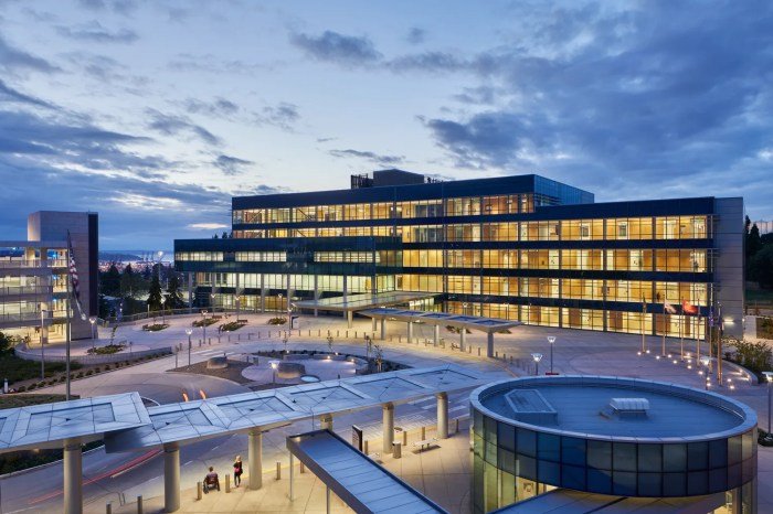 Va puget sound health care system emergency room