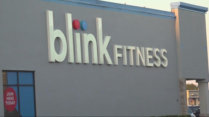 Blink fitness journal square