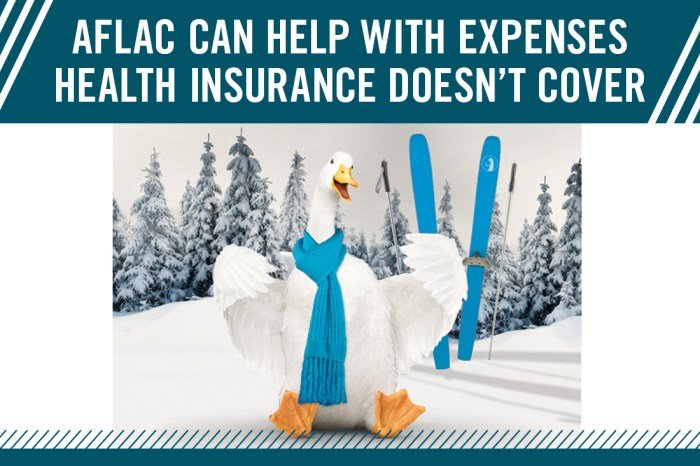Aflac insurance health