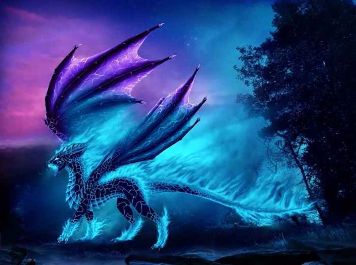 Dragun beauty