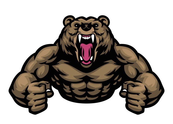 Bears fitness