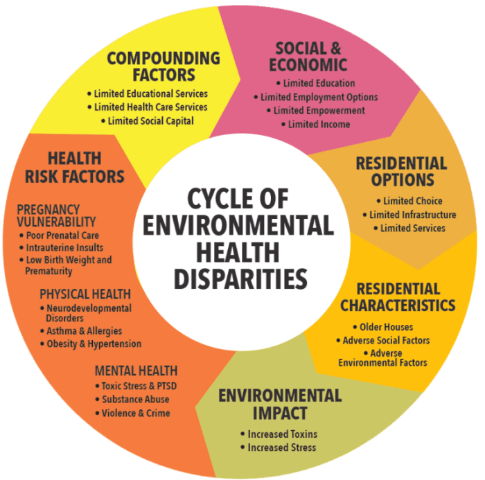 Disparities kff determinants economic inequities individuals worse