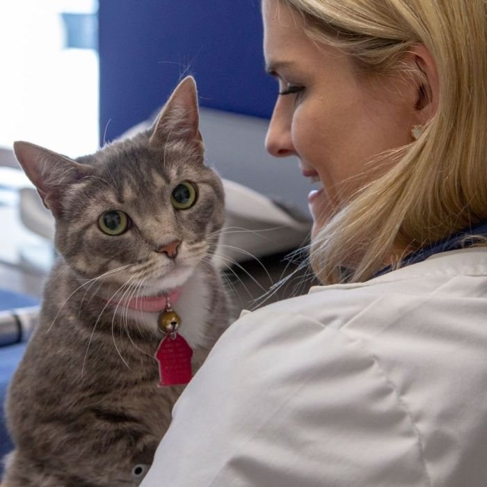 Firehouse animal health center