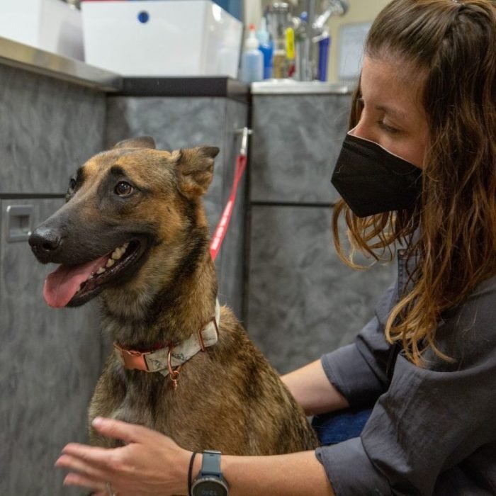 Firehouse animal health center