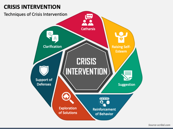 Crisis plan intervention health mental template safety templates crises