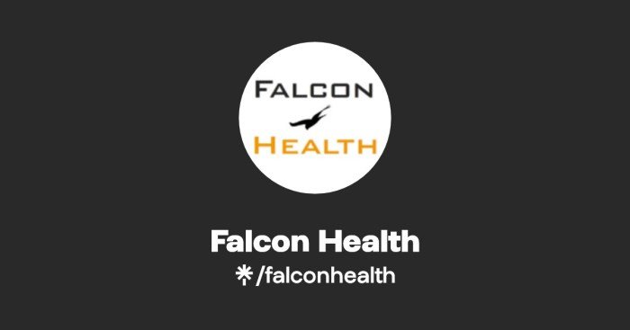 Falcon health