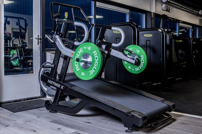 Jobs at rogue fitness