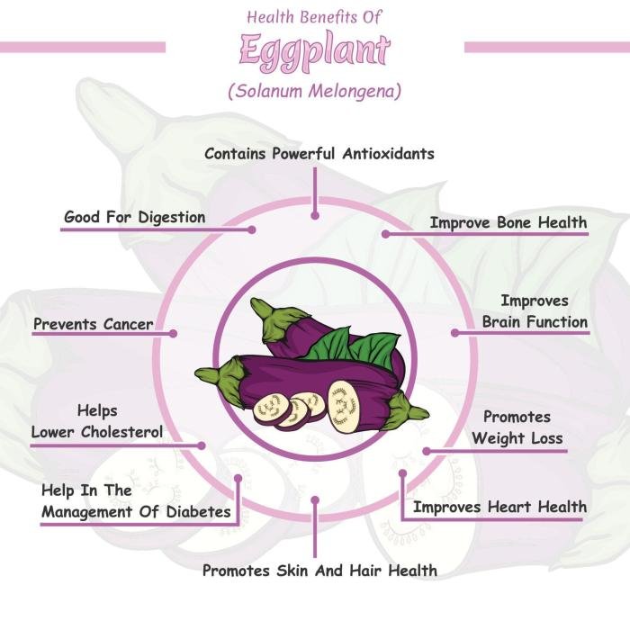 Eggplant benefits health herbazest nutrition nutritional medicinal
