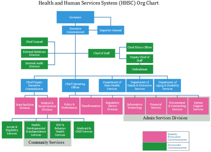 Texas health and human services commissioner