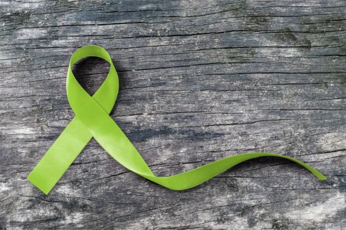 Awareness ribbons vector vectorstock royalty