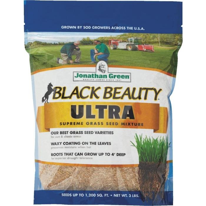 Grass beauty green jonathan lapse time