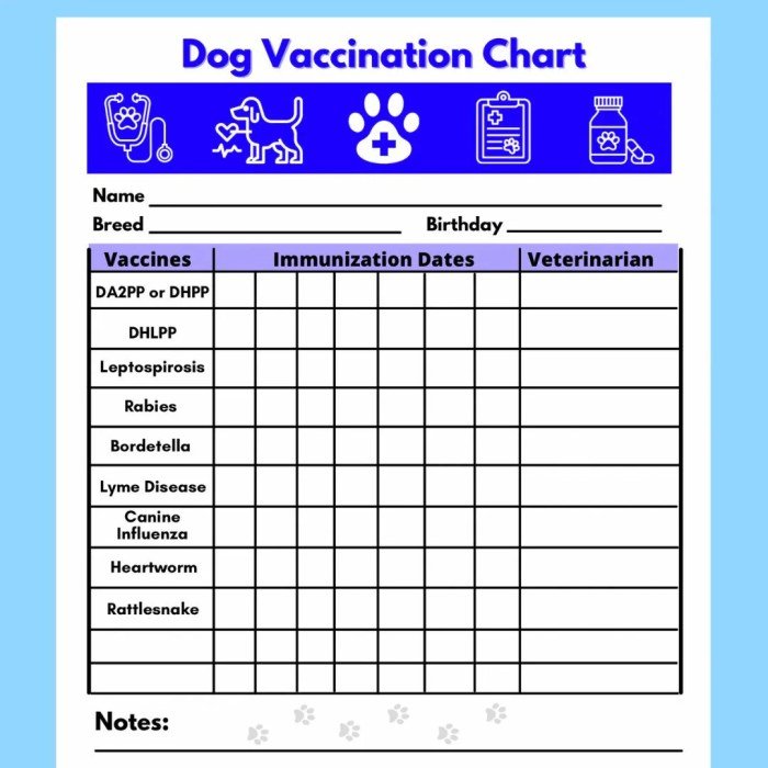 Health certificates for dogs