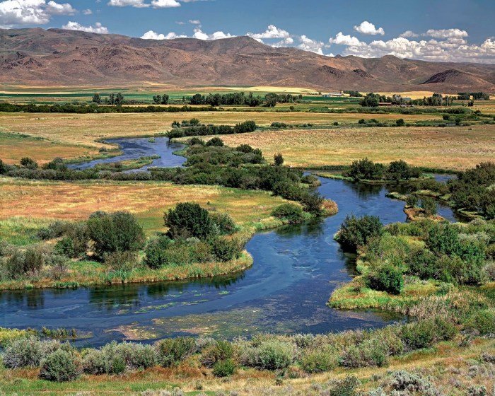 Creek golf silver course