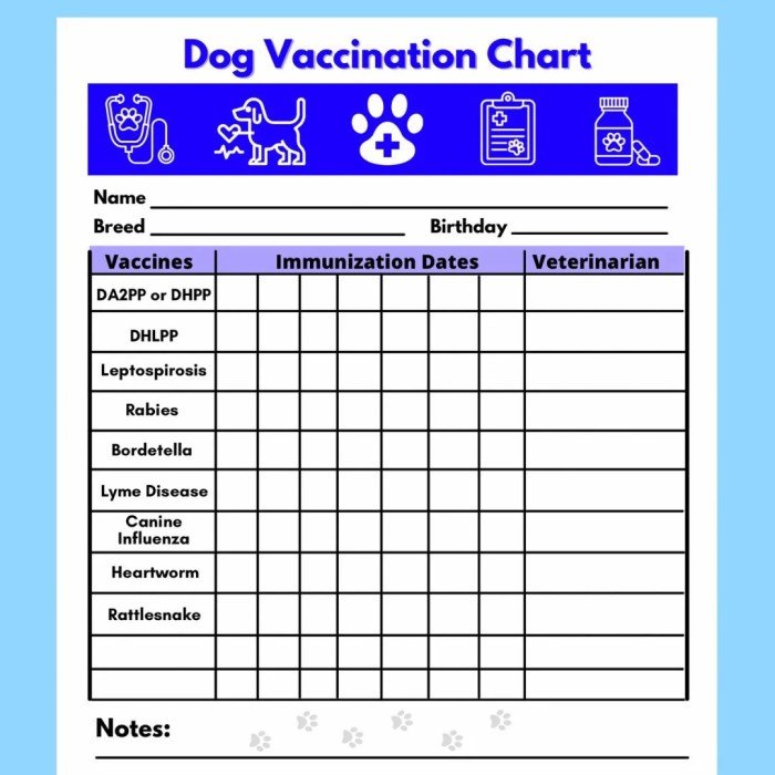 Health certificates for dogs