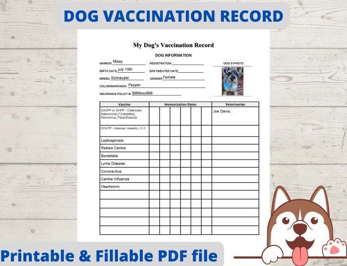 Health certificates for dogs
