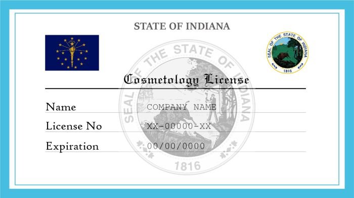 Hair cosmetology cut exam illinois license part salon hairdresser hairdressers cutting training meridian florida violence domestic law shaping edu mandates