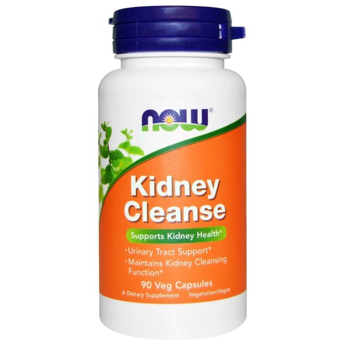 Kidney