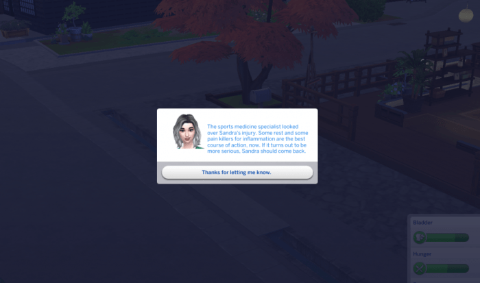 Health care redux sims 4