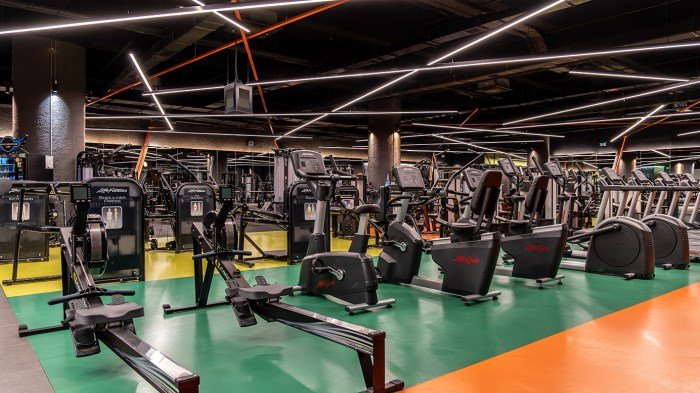 Mcveigh sports & fitness center