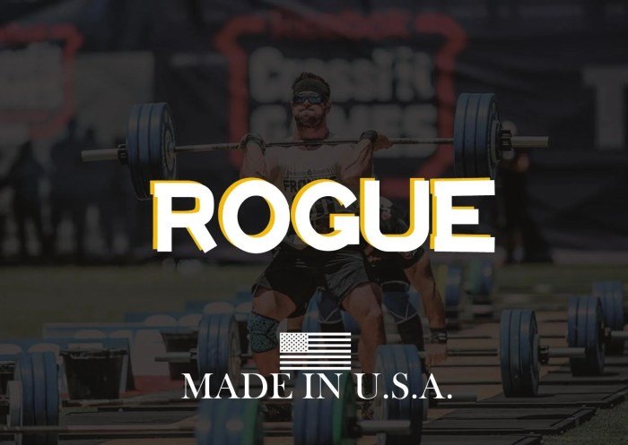 Rogue fitness gear
