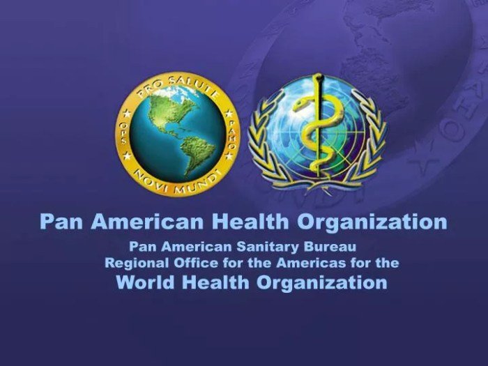 Pan organization health american ppt powerpoint presentation