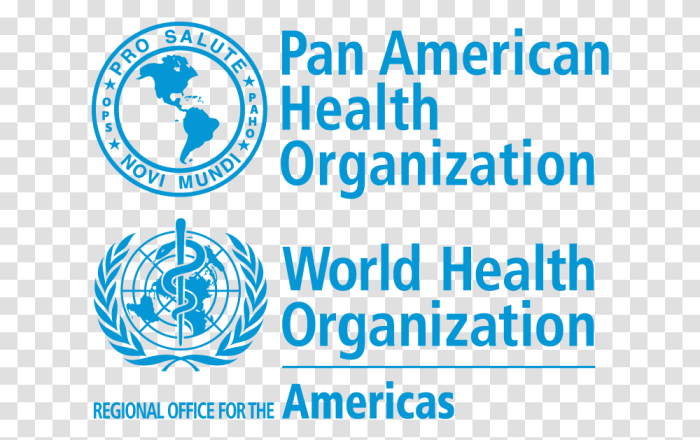 Pan american health organisation