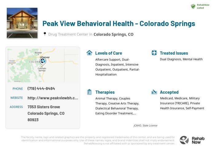 Peak view behavioral health
