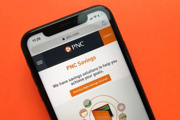 Health savings account pnc