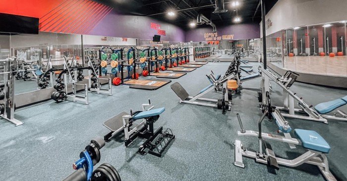 Crunch fitness cedar park