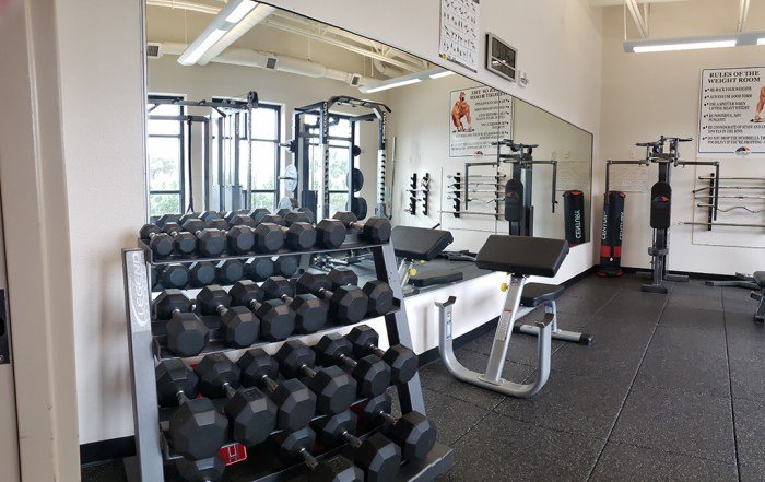 Health seniors wellness