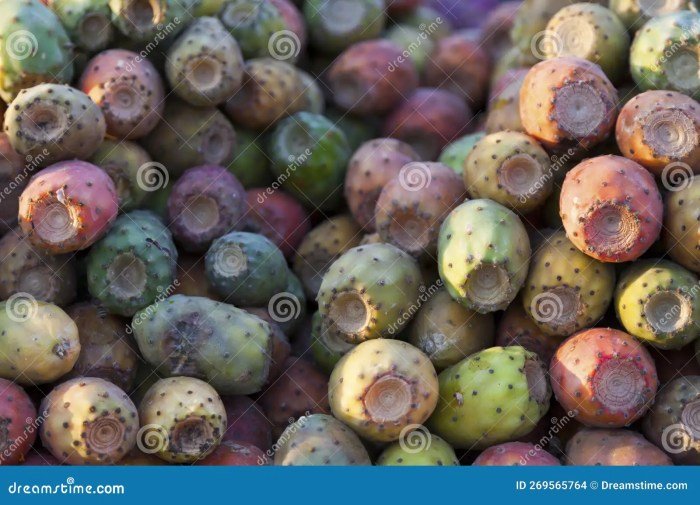 Prickly pear facts origins nutrition benefits health consumption geographic regions grown