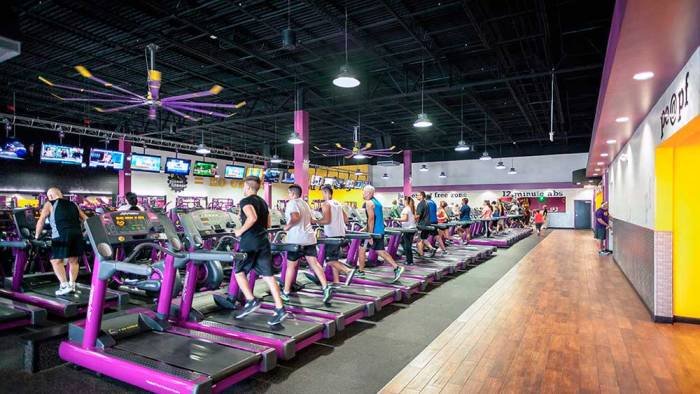 Planet fitness inc yum china stock 2021 performance price holdings current year monthly plnt month yumc