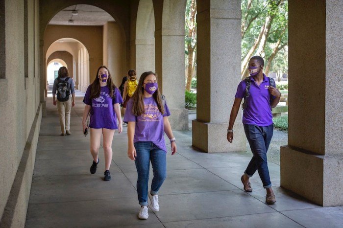 Lsu student health