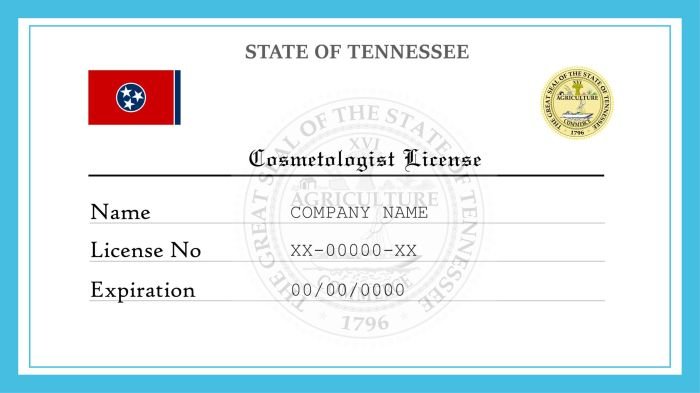 Cosmetology license florida renewal