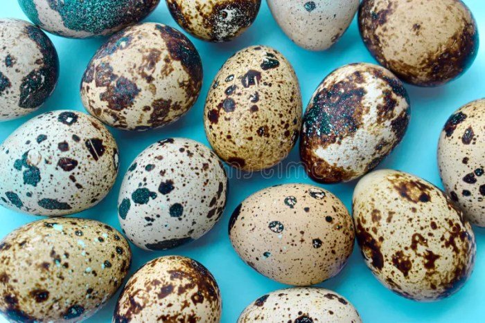 Quail eggs egg kada mutta fresh benefits vegetables spicy roasted harvest fried must health know which extra