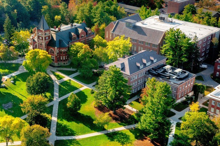 Health and wellness unh