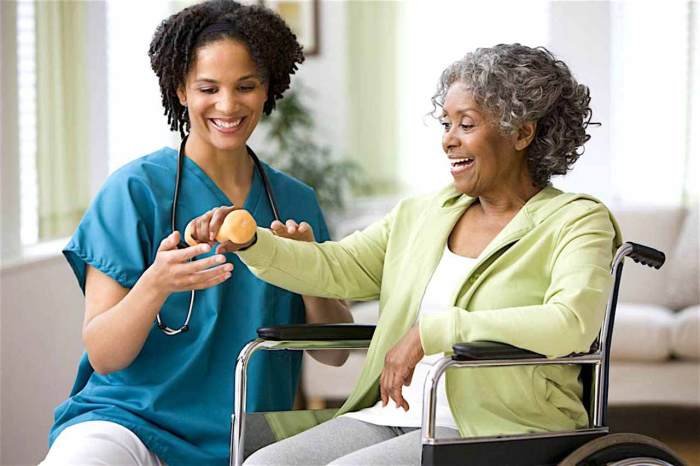 Health aide care jobs job simplified routine supportive shca hha functions provide primary