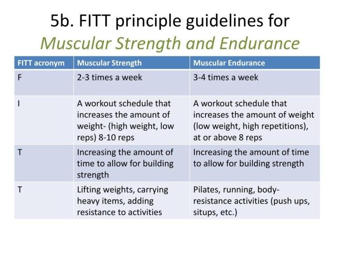 Five fitness components