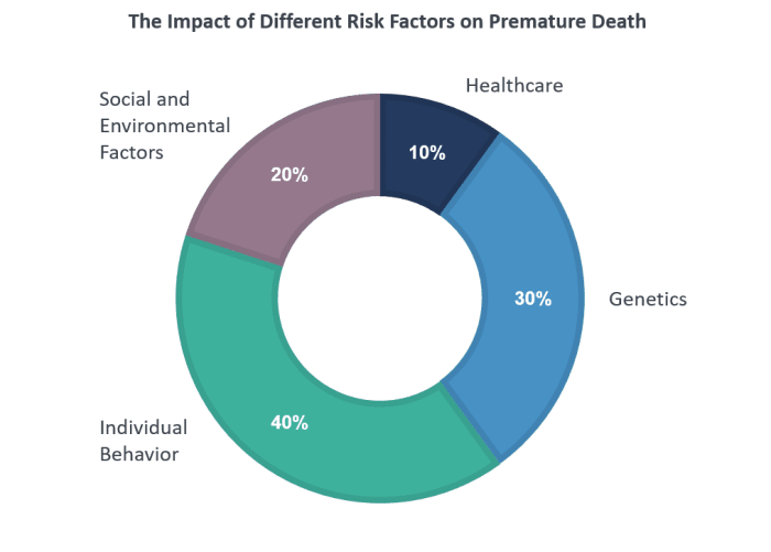Determinants health social healthcare access determinant public services westchester covid redefining age policy issues development wednesday wheel dukeengage reform business