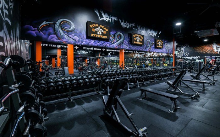 Five star fitness gym
