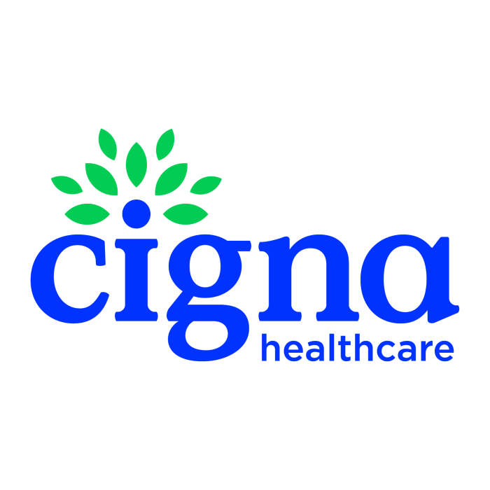 Cigna international health insurance plan