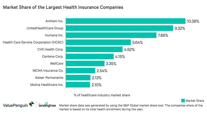 Health insurance major