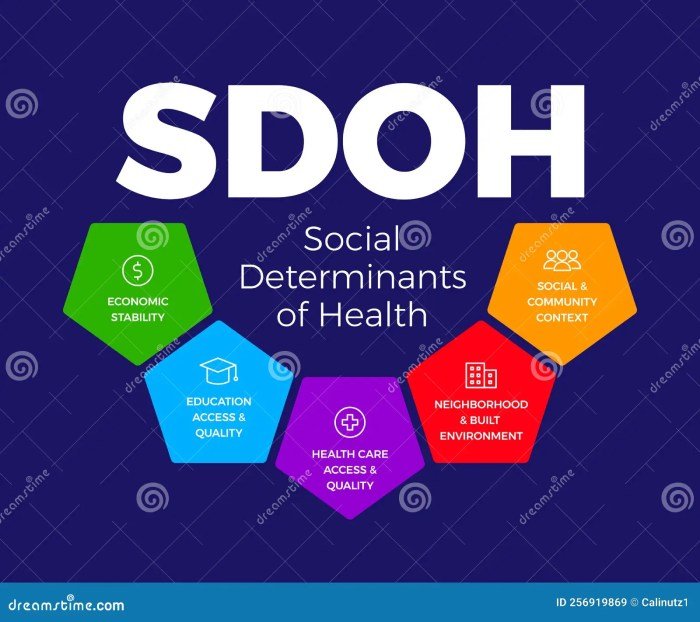 Social determinants of health definitions