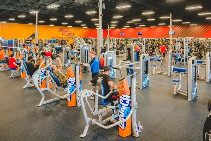 Crunch fitness appleton